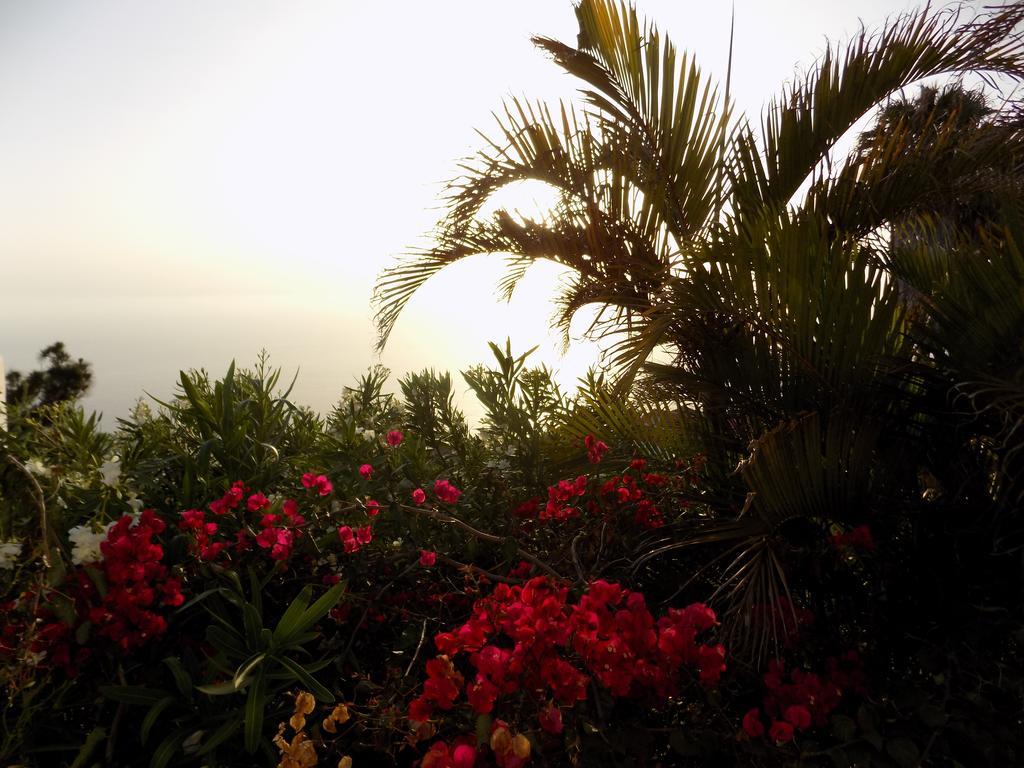 Villa Colon Fuencaliente de la Palma Extérieur photo
